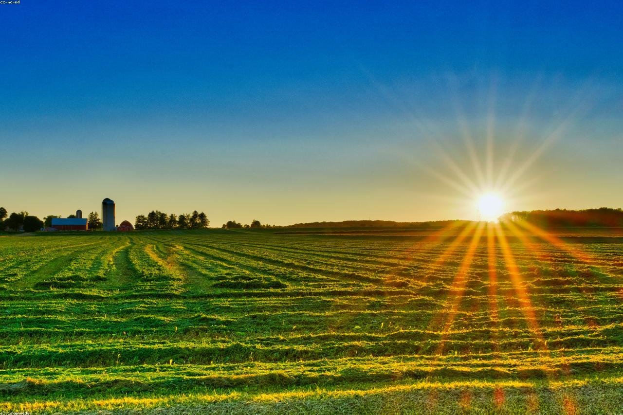 Usucapião de Imóvel Rural